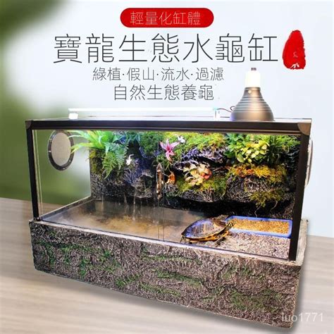 烏龜如何養|【烏龜缸diy】最全烏龜缸布置、造景、換水總整理，。